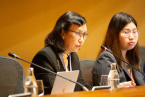 Myat Sein Nyein (Myanmar) speaking at the UN ESCAP Seminar